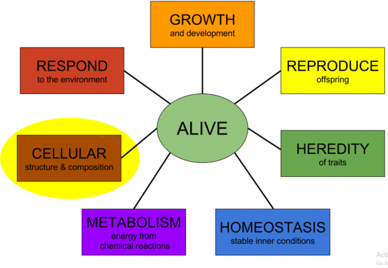 What Are The 9 Characteristics Of All Living Things